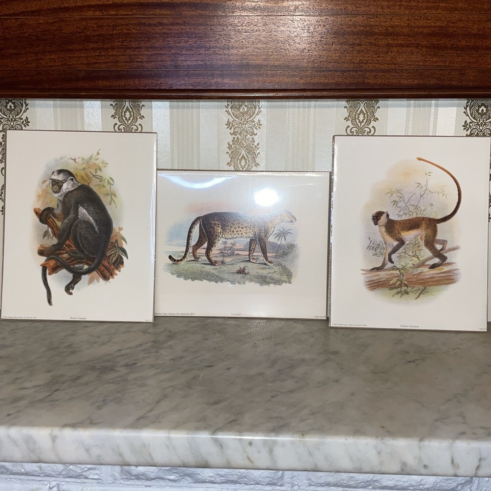 Natural History Lithograph Wildlife Prints | Leopard Monkey Guenon Langur Jungle